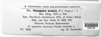 Thekopsora areolata image